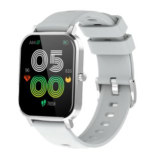 Smartwatch Denver Electronics SW-181GREY Grigio 1,69" Argentato