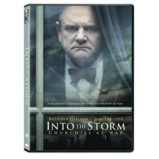 Into The Storm Edizione: Stati Uniti Dvd