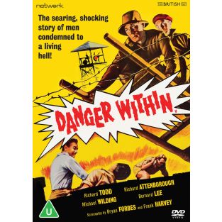 Danger Within Dvd