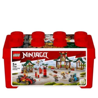 Lego Ninjago Set Creativo Di Mattoncini Ninja Con Macchina E Moto